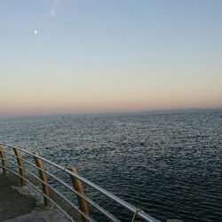 ブリ不発…コットンキャンディーズでハマチ>゜)))彡