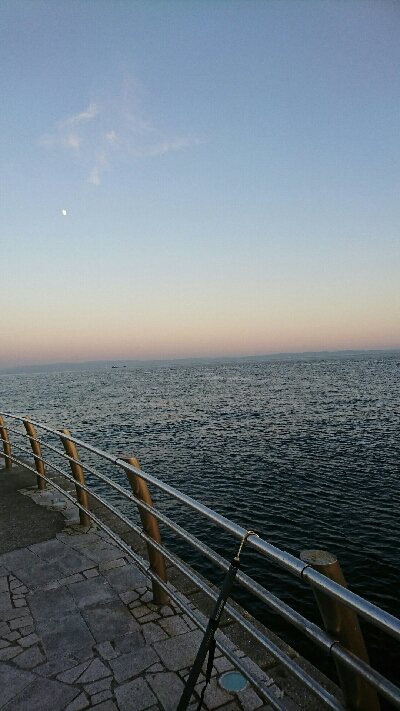 ブリ不発…コットンキャンディーズでハマチ>゜)))彡