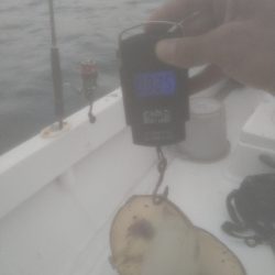 初ティップラン