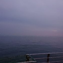 太刀魚超入れ食い