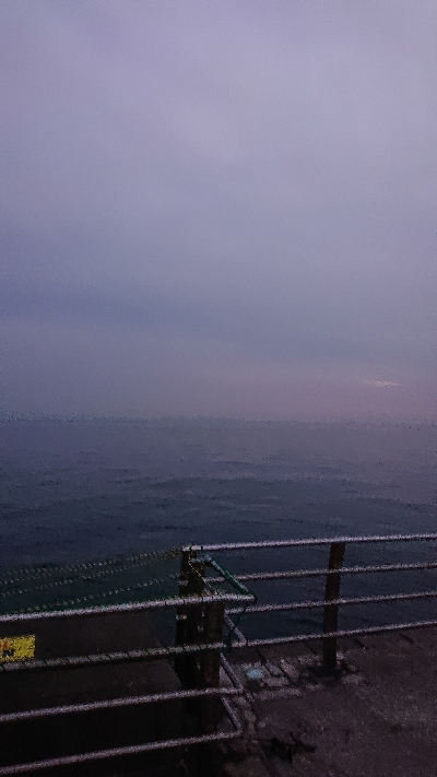 太刀魚超入れ食い