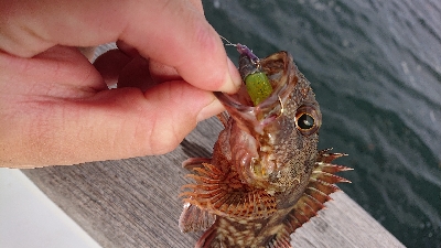 南港ガシリング