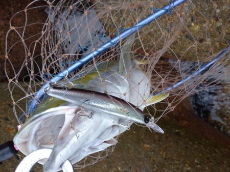 雨の中青物狙い!!