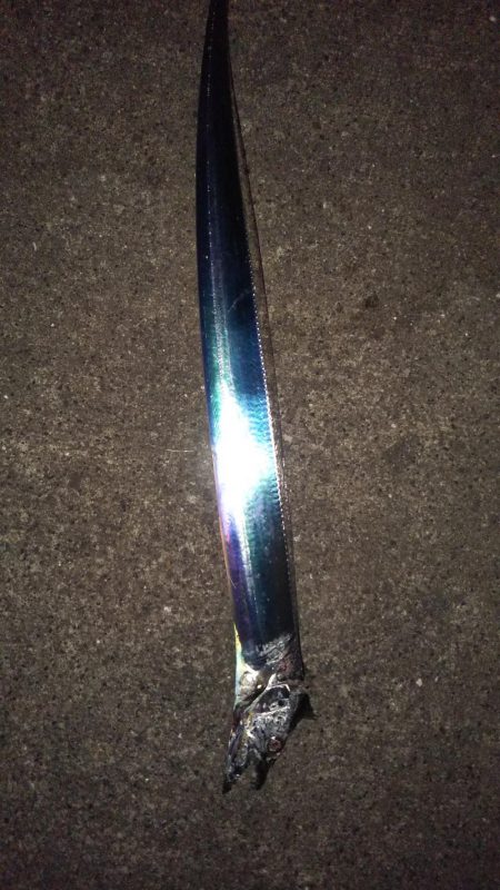 ワンタッチ、、、