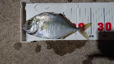 ゴールデンイーグル