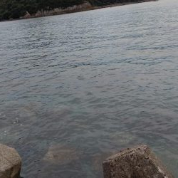 TEAMゲッソー調査隊