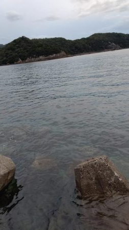 TEAMゲッソー調査隊