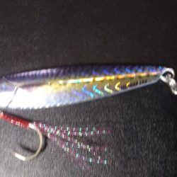 サゴシ狙いが⁉