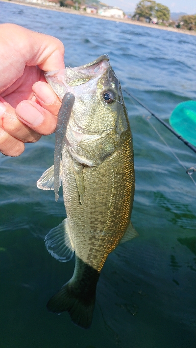 ウィードのアウトサイド