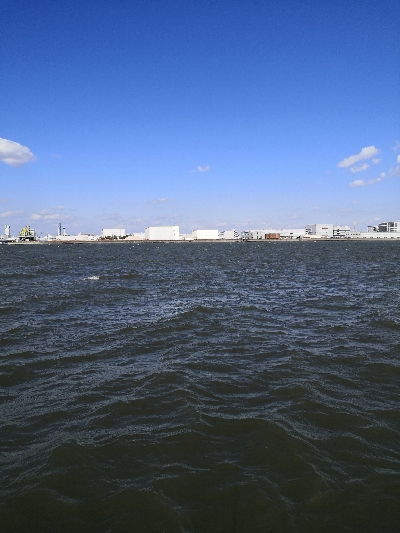 爆風でシーバス