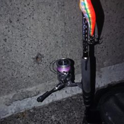 アオリ&青物釣行