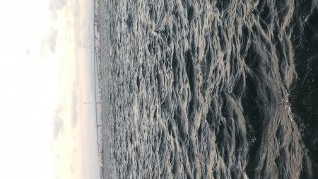 ガシラ15 タケノコ1 アジ2 サバ2 キビレ0.5