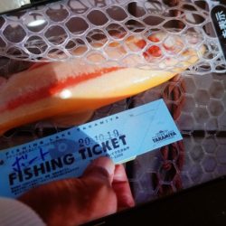 フィッシングレイクたかみや 釣果