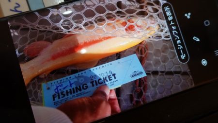 フィッシングレイクたかみや 釣果