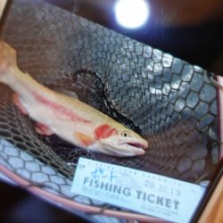 フィッシングレイクたかみや 釣果