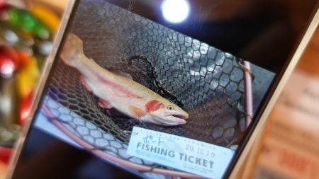 フィッシングレイクたかみや 釣果