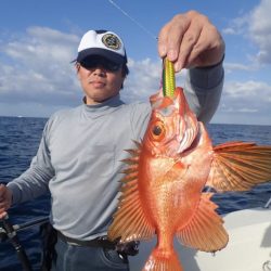 Aquanaut(アクアノート) 釣果