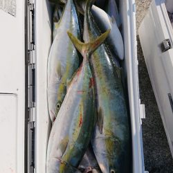 エンペラー 釣果