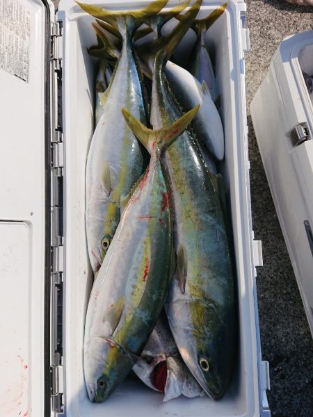 エンペラー 釣果