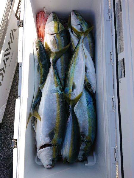 エンペラー 釣果