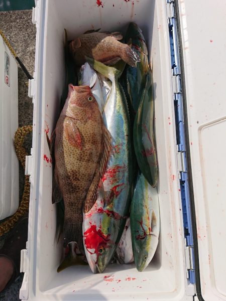 エンペラー 釣果