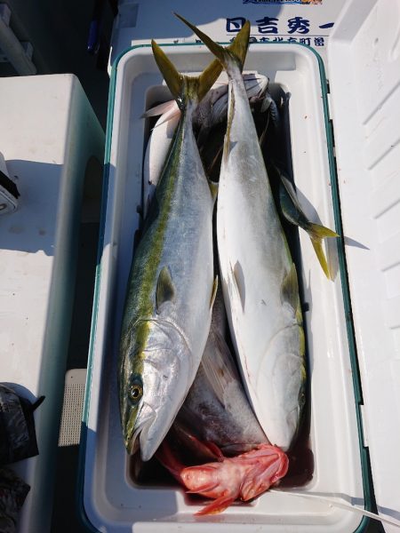 エンペラー 釣果