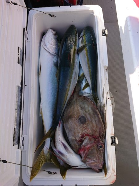 エンペラー 釣果