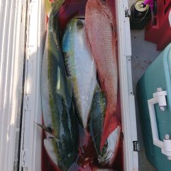 エンペラー 釣果