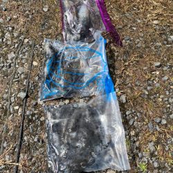 あみや渡船 釣果