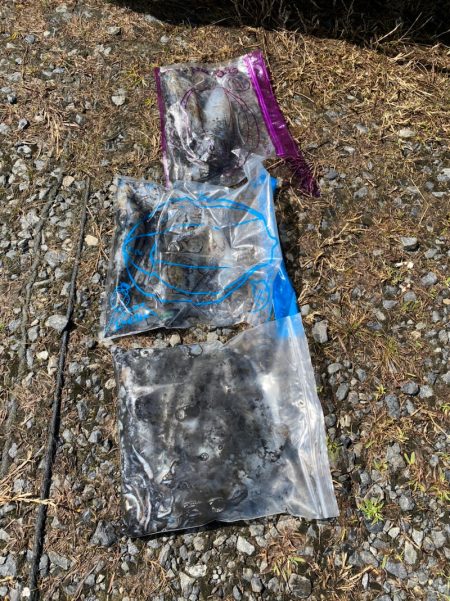 あみや渡船 釣果