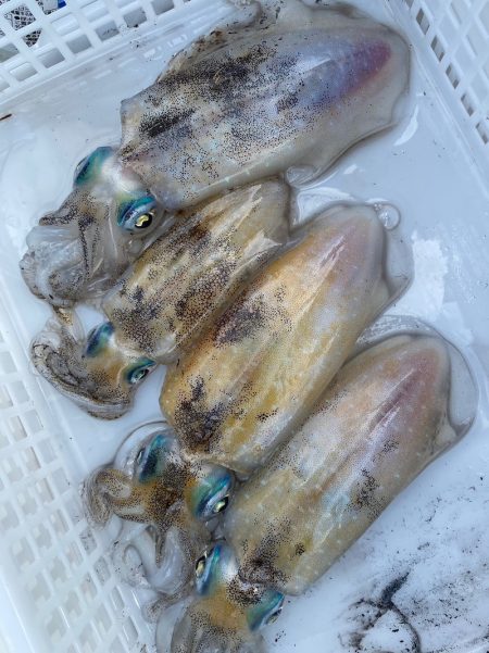 あみや渡船 釣果