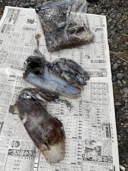 あみや渡船 釣果