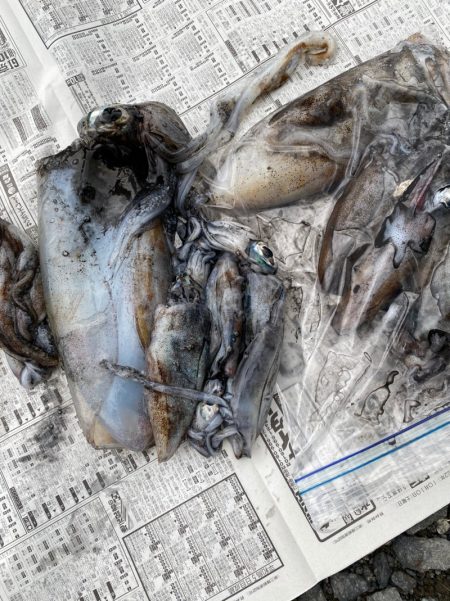 あみや渡船 釣果