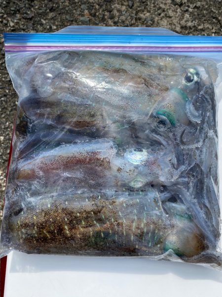 あみや渡船 釣果