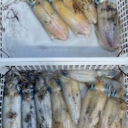 あみや渡船 釣果