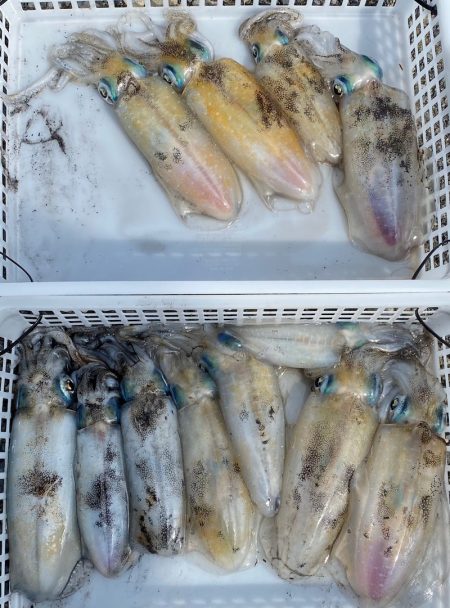 あみや渡船 釣果