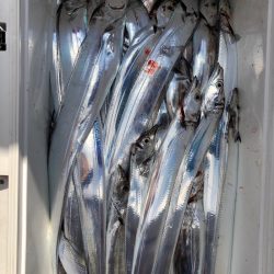 フィッシング　キッタカ 釣果