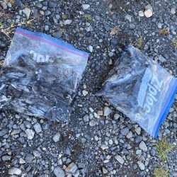 あみや渡船 釣果