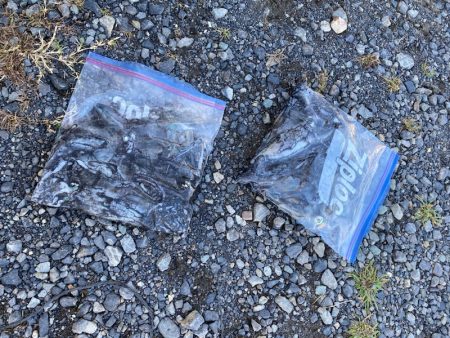 あみや渡船 釣果