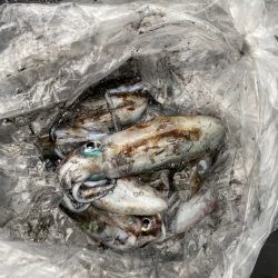 あみや渡船 釣果