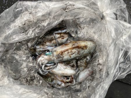 あみや渡船 釣果