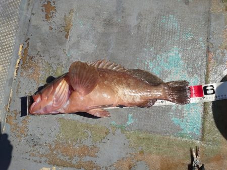 FISHING RISKY 釣果