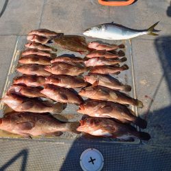 FISHING RISKY 釣果