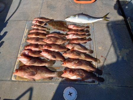 FISHING RISKY 釣果