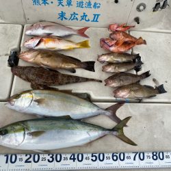 末広丸(熊本) 釣果