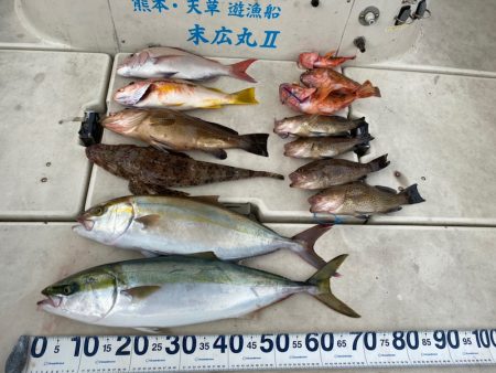 末広丸(熊本) 釣果