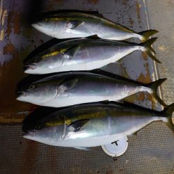 FISHING RISKY 釣果