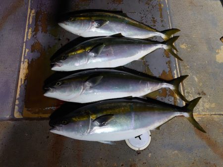 FISHING RISKY 釣果