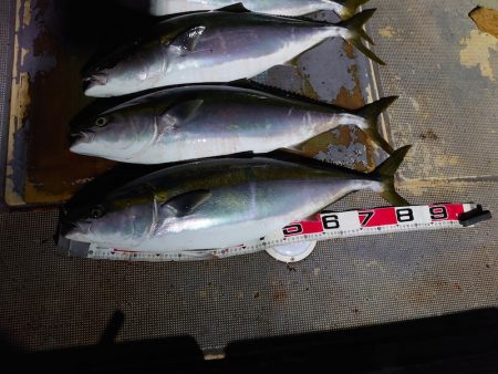 FISHING RISKY 釣果