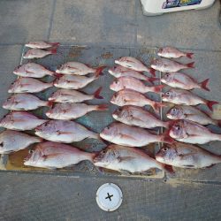 FISHING RISKY 釣果